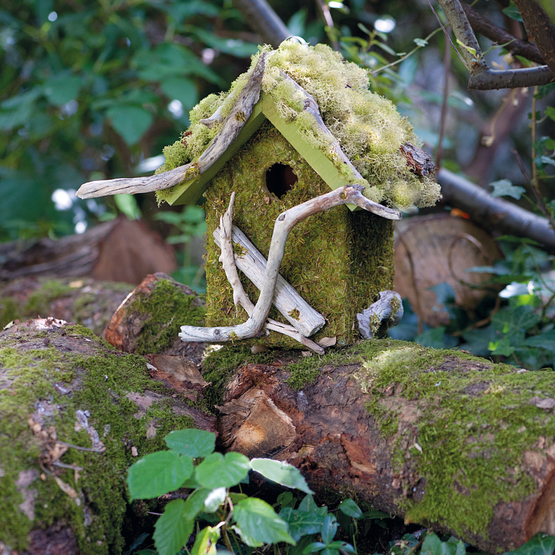 Foto: ©Caroline Arber (aus Nistkästen und Vogelhäuser zum Selberbauen - Mit 50 Gartenvögeln im Porträt)